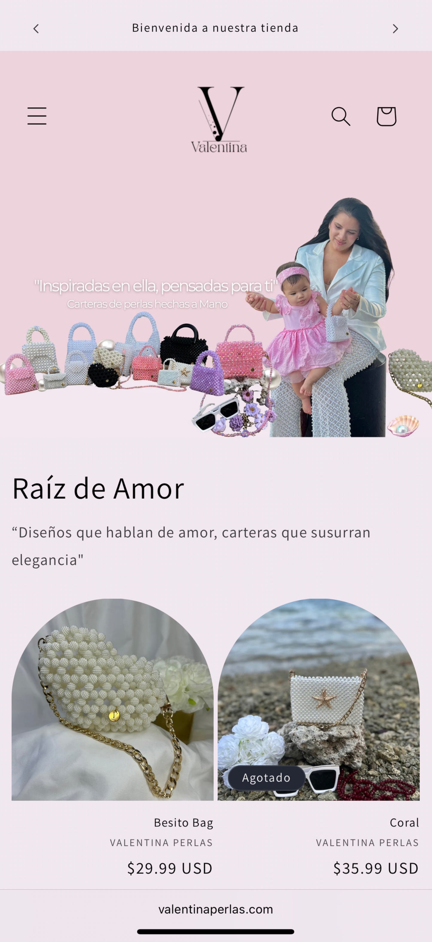 Página Web + Dominio Personalizado